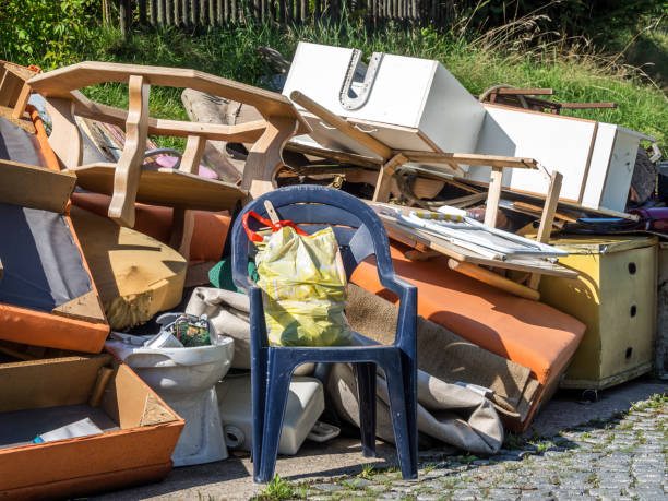 Best Construction Debris Removal  in Hornell, NY