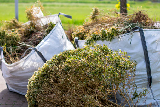 Best Professional Junk Removal  in Hornell, NY