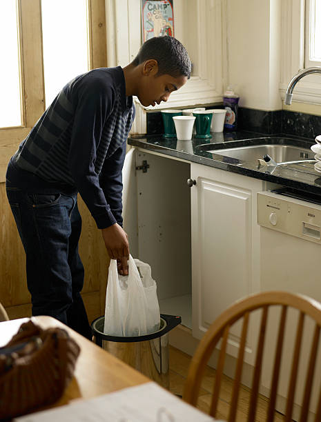 Best Professional Junk Removal  in Hornell, NY